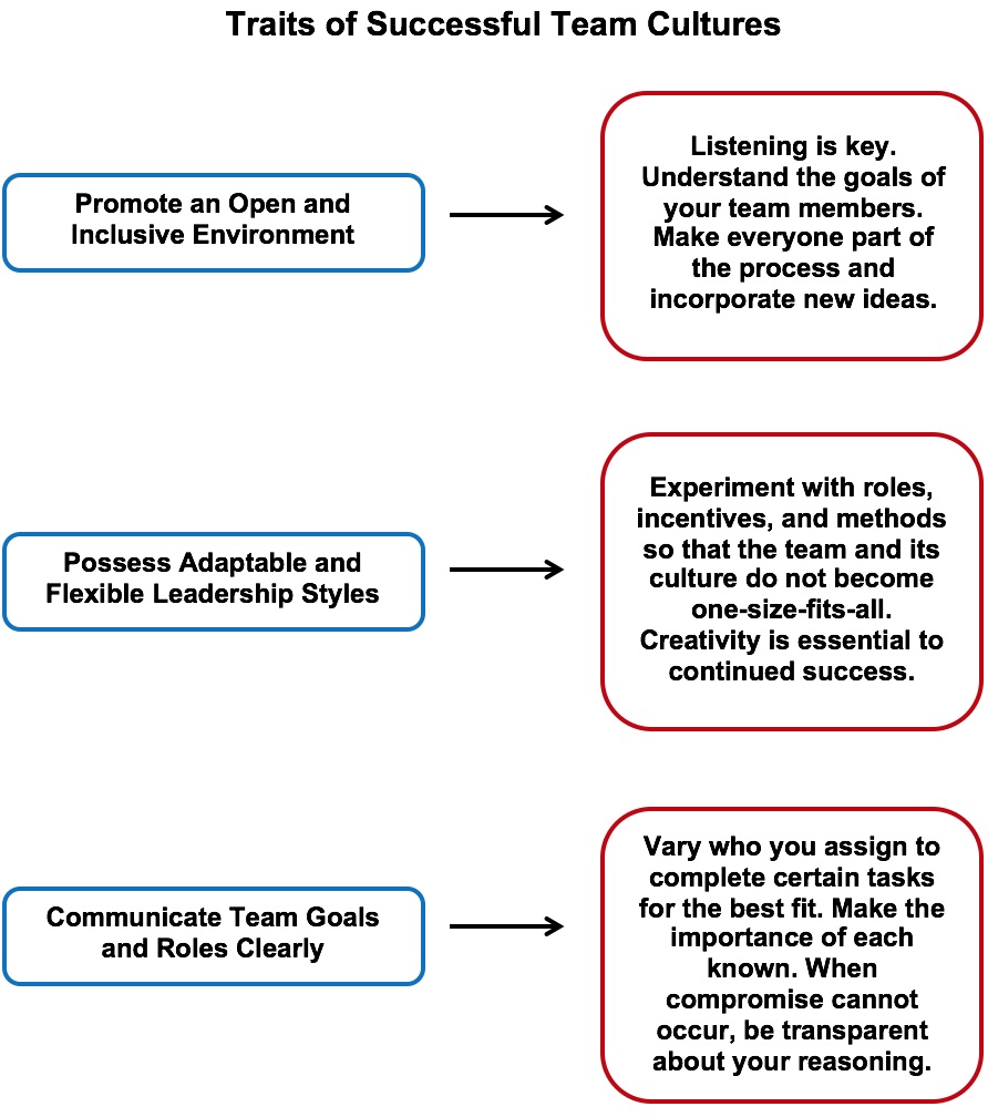 Traits of Successful Team Cultures